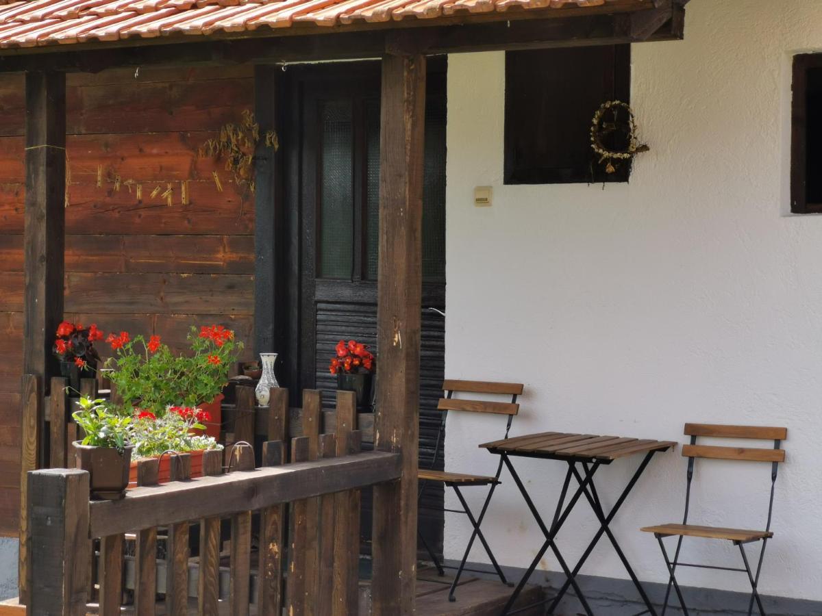 Uvac Griffon Villa Nova Varos Ngoại thất bức ảnh