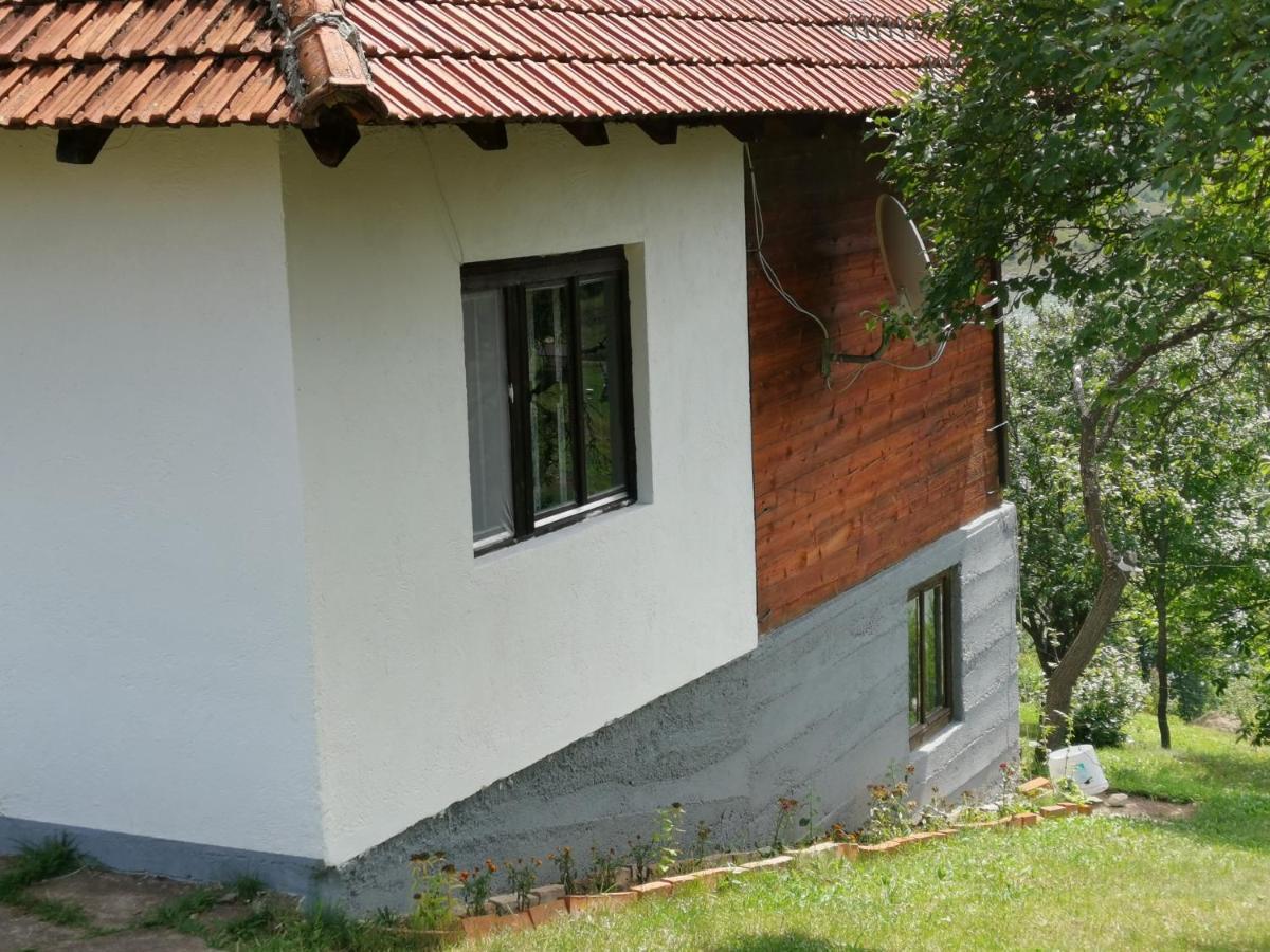 Uvac Griffon Villa Nova Varos Ngoại thất bức ảnh
