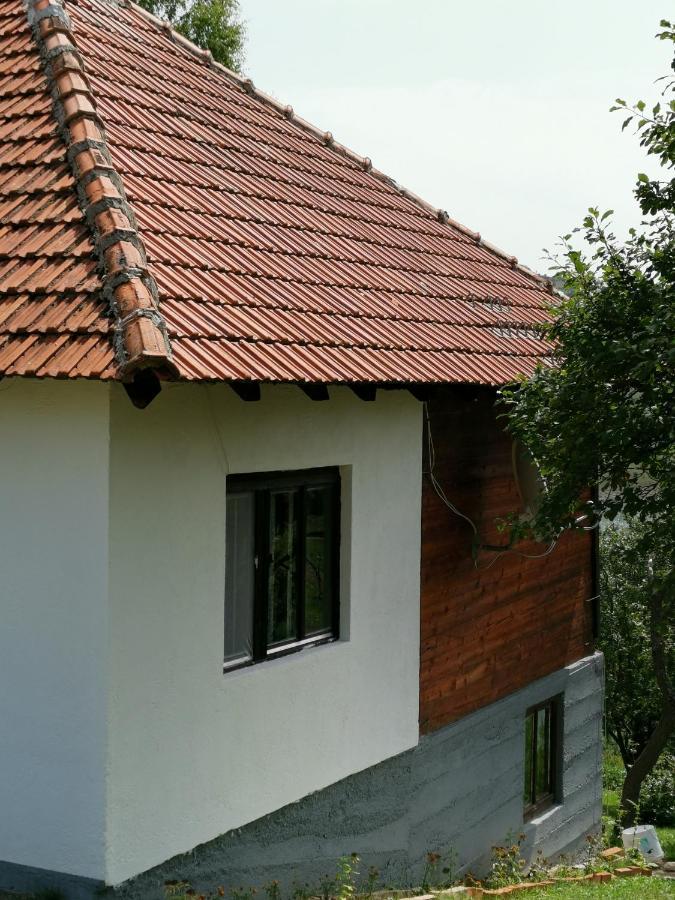 Uvac Griffon Villa Nova Varos Ngoại thất bức ảnh